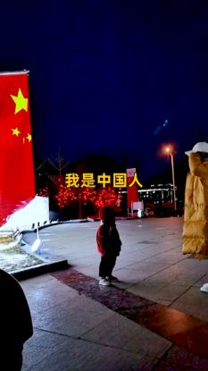 小长颈鹿逃离